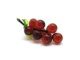 Murano Glass Objects - Bunches of grapes in Murano glass Mod.OGG0301  - Topaz